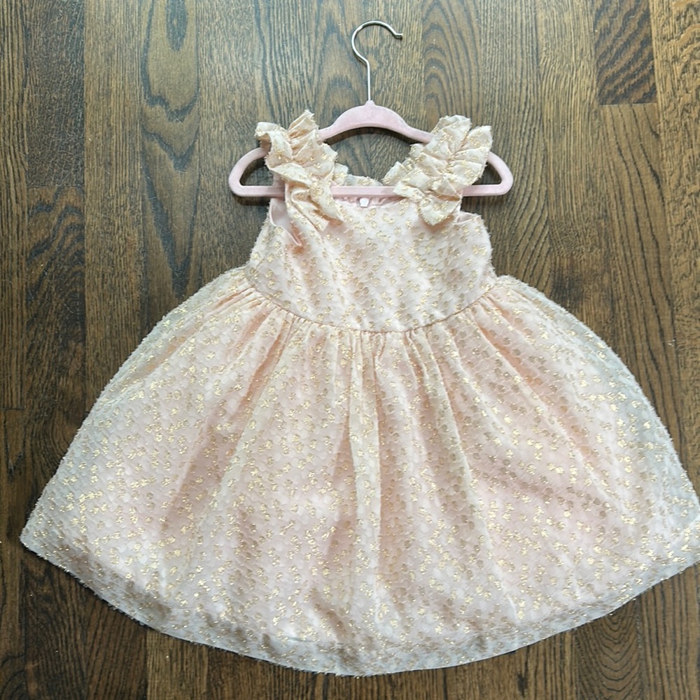 Janie and Jack pink party dress 12-18m